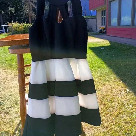 Crystal Doll Black and White Wedding Dress - Picture 1 of 5